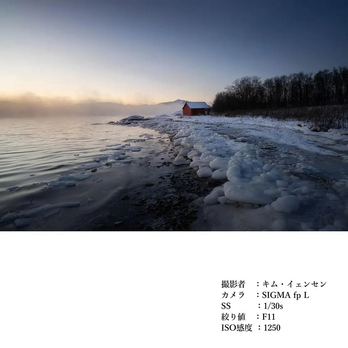 SIGMA 20mm F2 DG | Contemporary【Lマウント】（ブラック）カメラ レンズ 家電