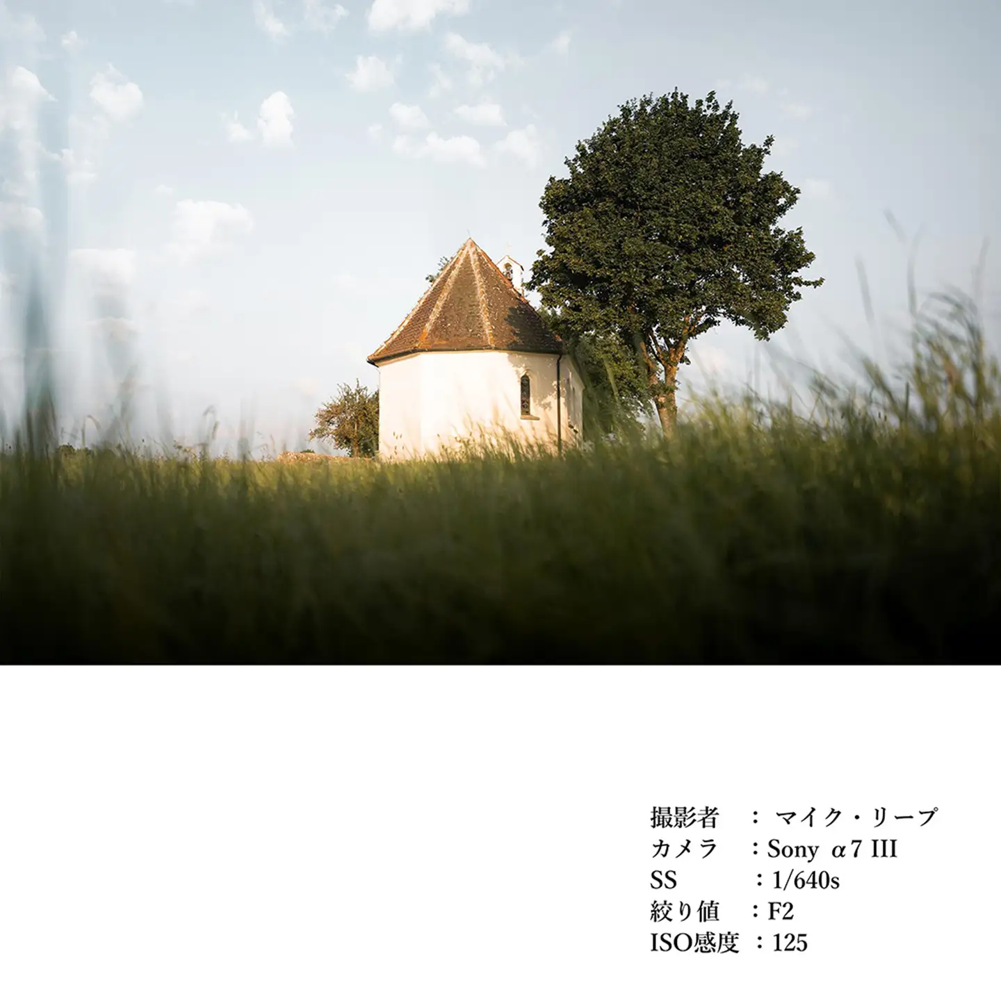 SIGMA 24mm F2 DG | Contemporary【Lマウント】（ブラック）