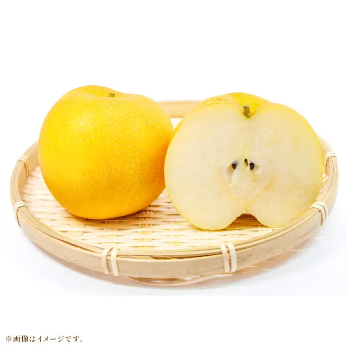 鳥取の梨 食べ比べセット　3kg