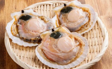 【先行予約】北海道 豊浦町 殻付き 3年貝 活ホタテ 約5kg（20～25枚）【2026年12月下旬頃発送予定】