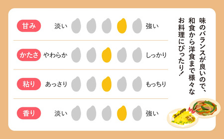 宮城県産ひとめぼれ 無洗米 5kg×9回定期便 ひとめぼれ