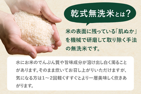 【無洗米】秋田県由利本荘市産 特別栽培米 ひとめぼれ 10kg（5kg×2袋）令和7年産