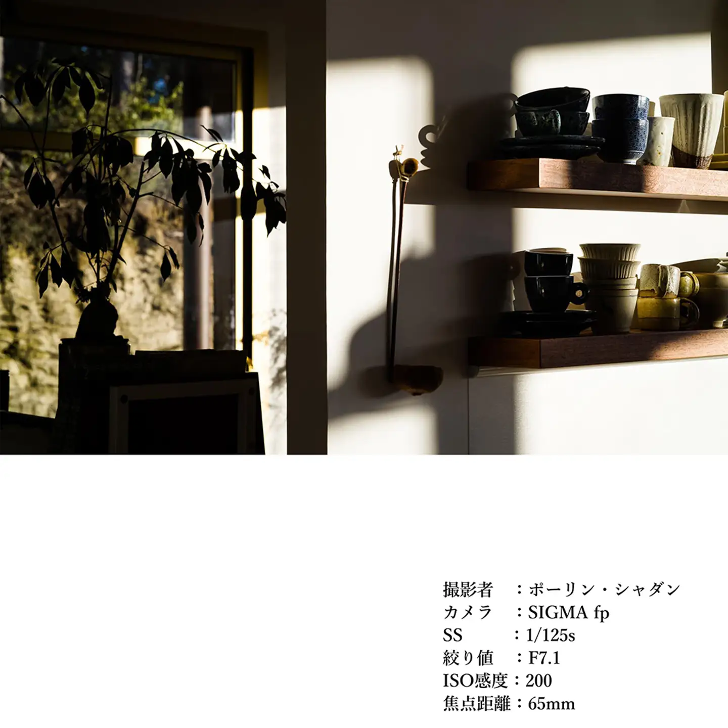 SIGMA 65mm F2 DG | Contemporary【Lマウント】（シルバー）
