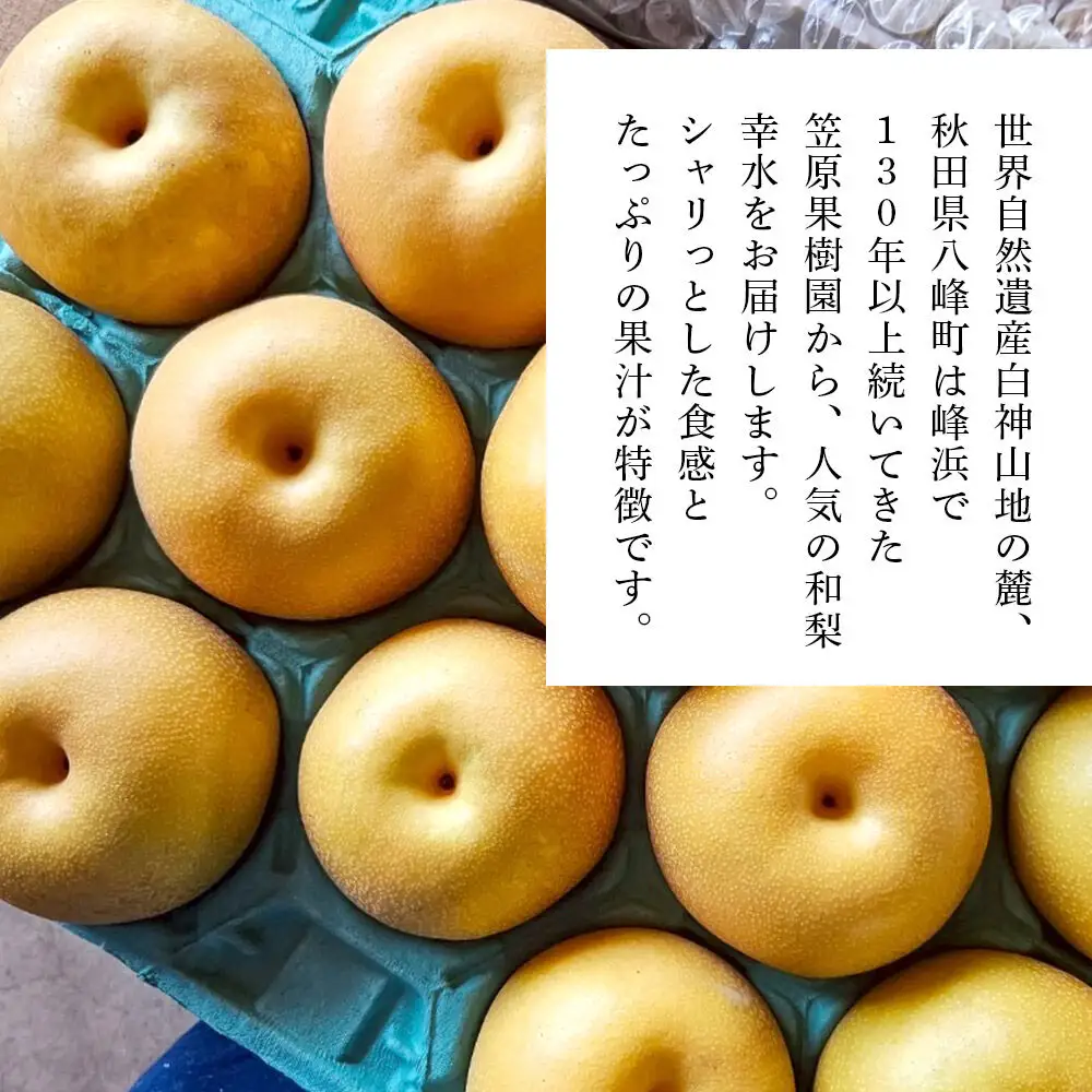 【9月発送 先行受付】梨 幸水 5kg 白神山地の麓 峰浜の梨 笠原果樹園