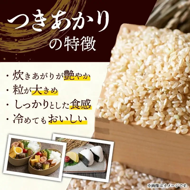  令和7年産 開運米 つきあかり（玄米）幸手産 - 5kg×2袋 10kg 福祉 応援 安心 安全 埼玉県 幸手市 幸手市産