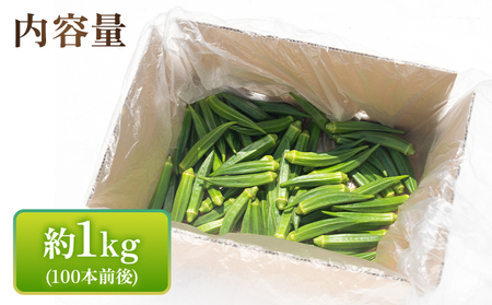 【2026年発送分】オクラ 1kg 〈100本前後〉 新鮮 オクラ 野菜 on-0032
