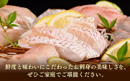 旬の高級刺身セット (50g×8～10袋・5種以上）【 刺身 】 [m78-a001]