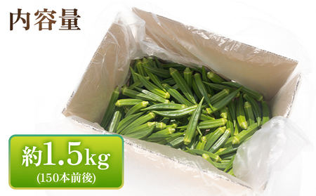 【2026年発送分】オクラ1.5kg 〈150本前後〉 新鮮 オクラ 野菜 on-0033