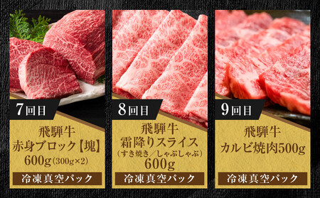 【定期便】全12回 飛騨牛 ざんまい(ステーキ/焼肉/すき焼き/切り落とし/ブロック) | 定期便 MZ106