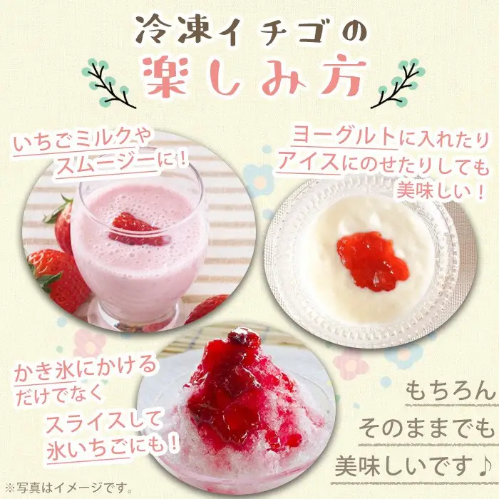 No.646-B 冷凍白いちご(約500g×2袋・計約1kg) 国産 鹿児島 日置市 加工品 苺 イチゴ いちご 冷凍 果物 くだもの フルーツ 小粒 冷凍果実 アイス スムージー シロップ ジャム 冷凍フルーツ 数量限定 【ままりあ農園】