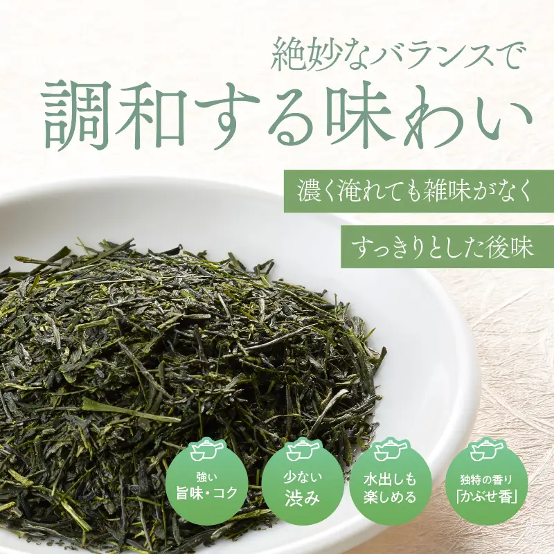特上煎茶 清紹庵 300g（ 100g×3本 ） KN162-001-02 茶