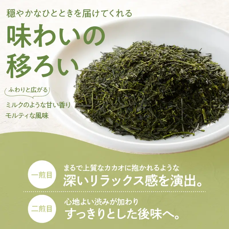 ホッとするね いつもの お茶 1kg（100g×10本） KN162-002-04 茶