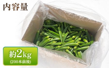 【2026年発送分】オクラ 2kg 〈200本前後〉 新鮮 オクラ 野菜 on-0034