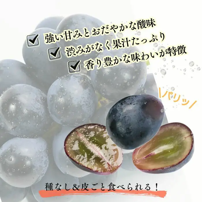 【2026年先行予約】ナガノパープル 約1kg|ぶどう