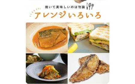 定期便【全3回/毎月お届け】大容量！ ご家庭用 塩さばフィレの定期便 / さば サバ 鯖 フィレ 切り身 切身 魚 海鮮 焼き魚 おかず 定期便【tkb353】
