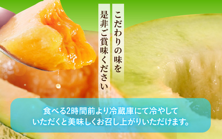 「ゆうかメロン」1玉：1.5kg以上 (青肉系メロン) と マルセイユメロン 1玉：1.3kg以上 (赤肉メロン) セット 2027年6月上旬以降発送 [A-19211]