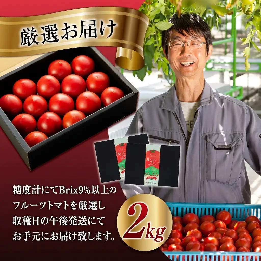 トマト 長野 オールージュトマト 2kg 野菜 夏野菜 夏 旬 旬野菜 甘い 国産 ビタミン ミネラル 抗酸化 リコピン 美容 健康 フルーツトマト フルーツ 長野県産 長野県 箕輪町