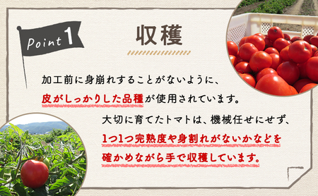 トマトジュース 富良野産 トマト100 トマトジュース【160g×30本入】