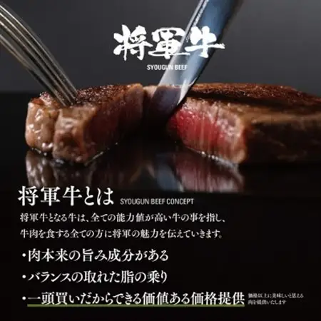 【将軍牛】特選ヒレステーキ 300g【配送不可地域：離島・北海道・沖縄県】【1653413】