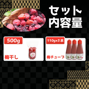 小梅干し 500g 梅肉チューブ 3本 梅干