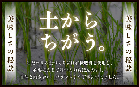 令和7年産 コシヒカリ 10kg（5kg✕2袋） 白米  【こめ お米 こしひかり 白米 5キロ 10キロ 精米 ブランド米 ふるさと納税米】 [m30-b001]