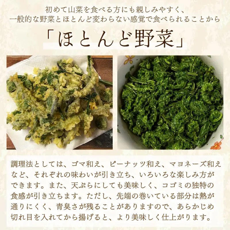 【先行予約】【季節限定】国産山菜 コゴミ 美浜町の春をお届け【2027年3月下旬以降順次発送予定】【こごみ  山菜 】 [m47-a025]