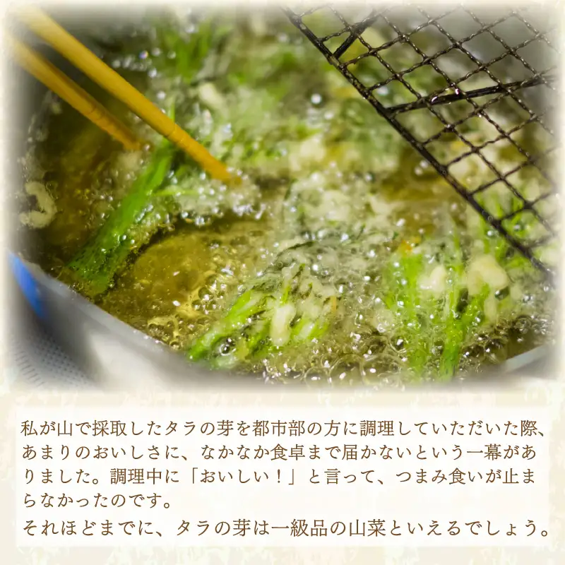 【先行予約】【季節限定】国産山菜 タラの芽 美浜町の春をお届け【2027年3月下旬以降順次発送予定】【 山菜 たらの芽 】 [m47-a026]