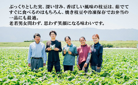 枝豆 焼き枝豆 福岡県産 枝豆【4kg(200g×20袋)】