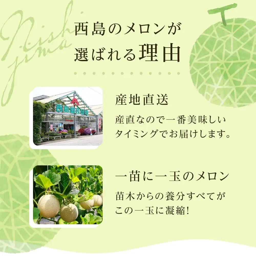 【年2回定期便】メロン・マンゴー セット【フルーツ マンゴー】