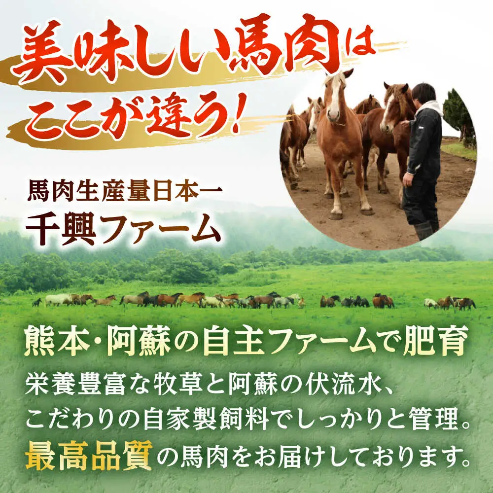 熊本 馬肉 馬かぁホルモン焼き  約2kg（約100g×20個)ホルモン[AYAF093]