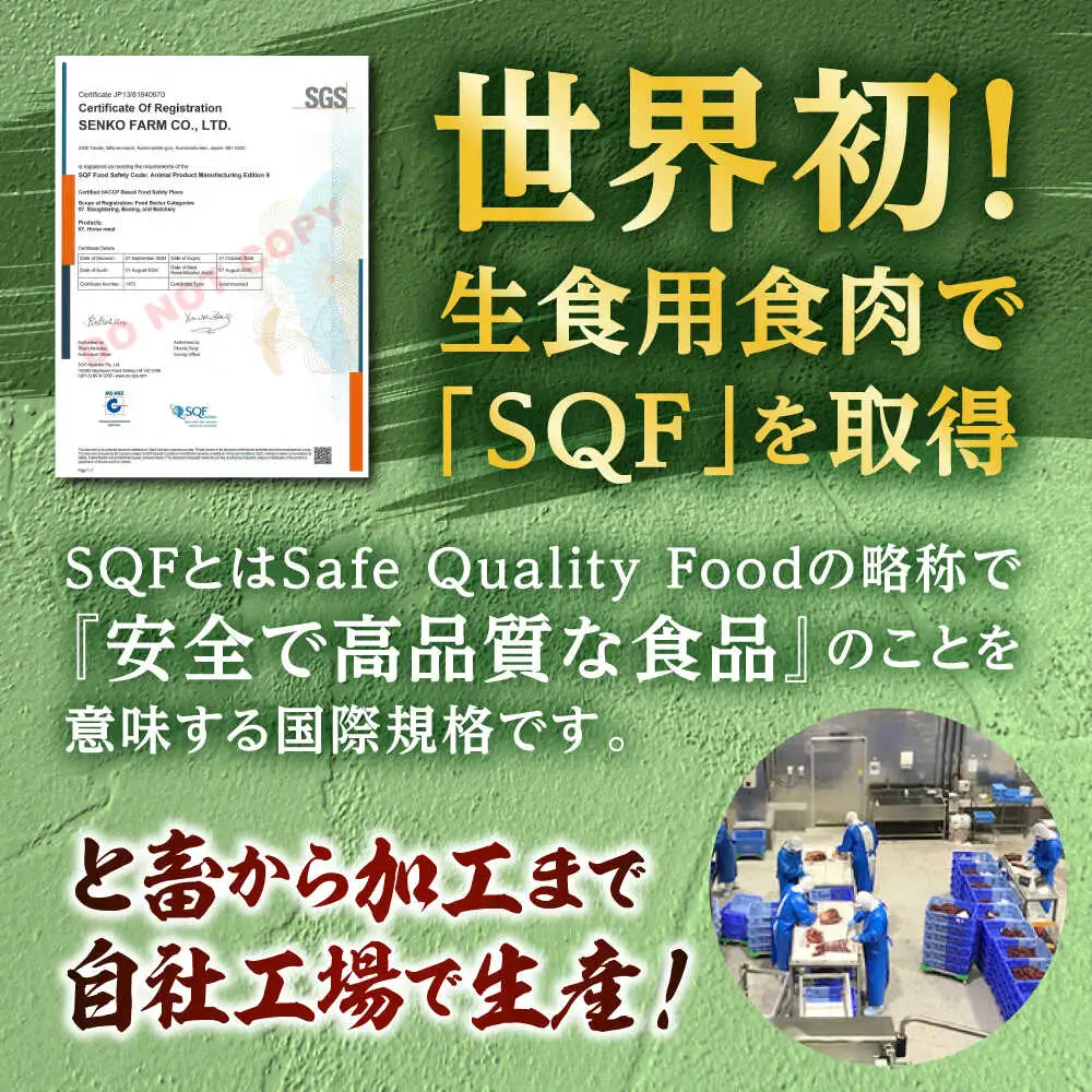 熊本 馬肉 馬肉ハンバーグ 8個（約130g/個）ハンバーグ[AYAF098]