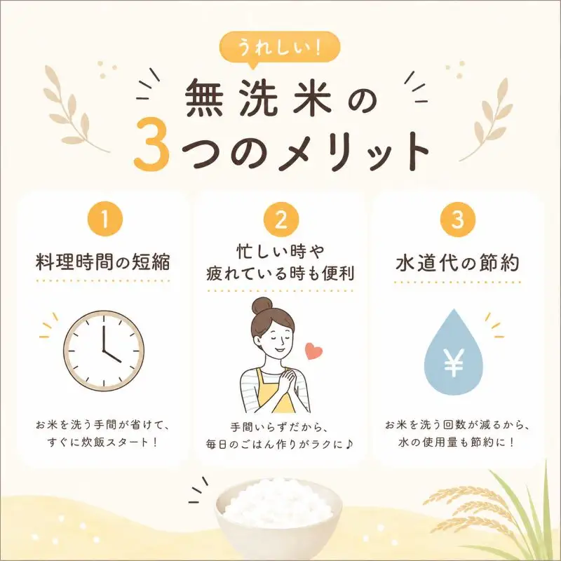 【先行予約】栃木県産コシヒカリ 無洗米 20kg 【栃木県共通返礼品】