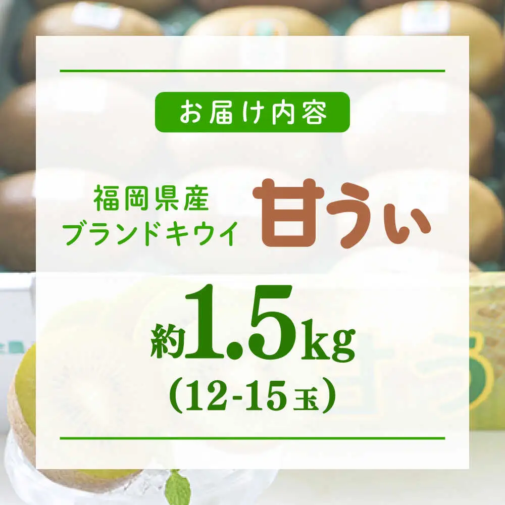 先行予約 キウイフルーツ 約1.5kg 12-15玉[BGAG017] キウイフルーツ