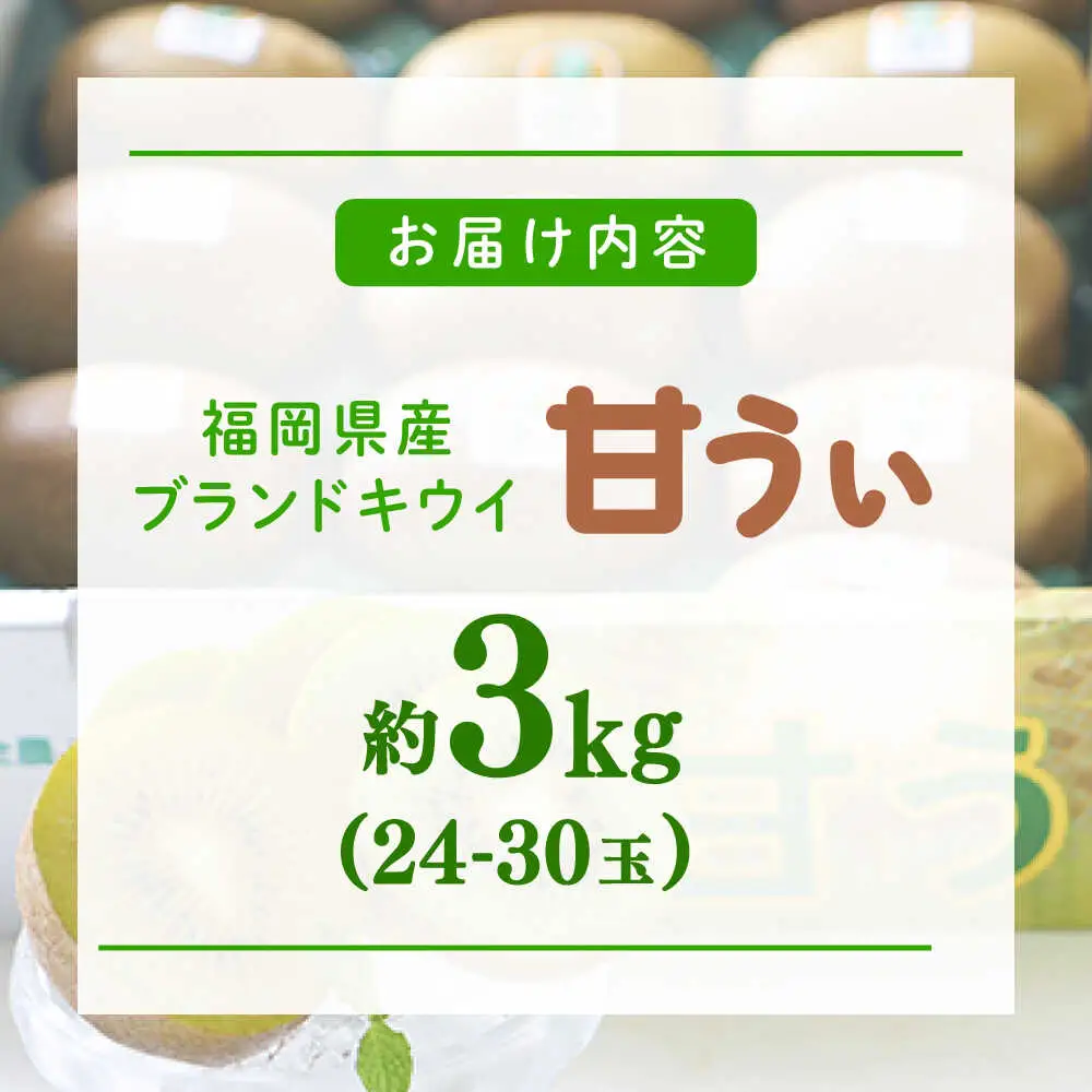 先行予約 キウイフルーツ 甘うぃ 約3kg 24-30玉[BGAG018] きうい
