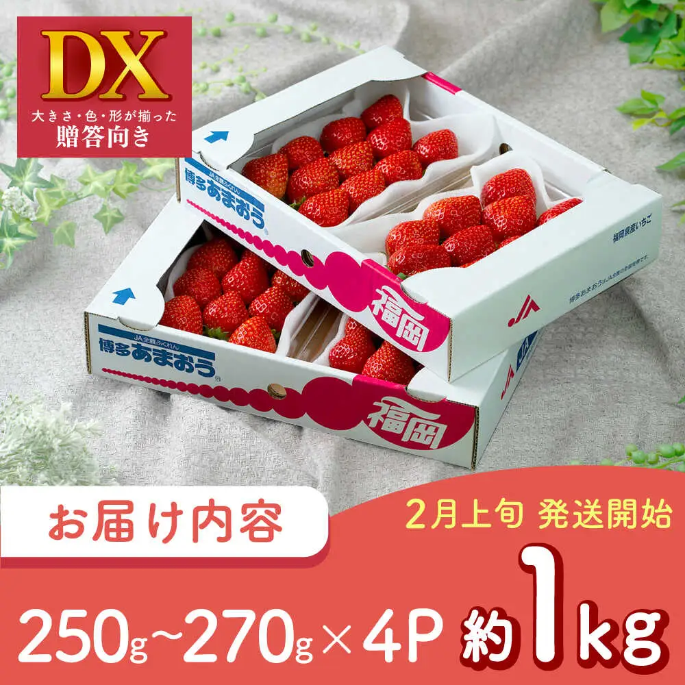 【先行予約】春あまおう DX 4P BGAG019 苺 イチゴ あまおう
