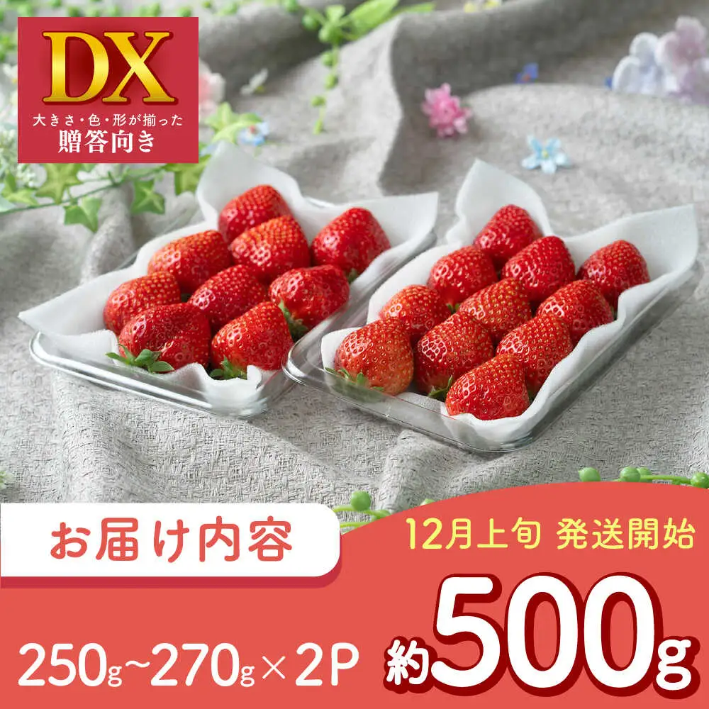 【先行予約】冬あまおう DX 2P BGAG020 苺 イチゴ あまおう