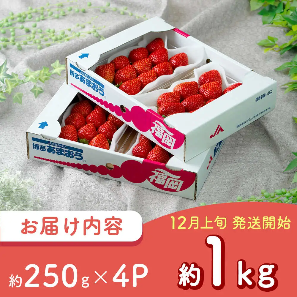 【先行予約】冬あまおう4P BGAG027 あまおうイチゴ