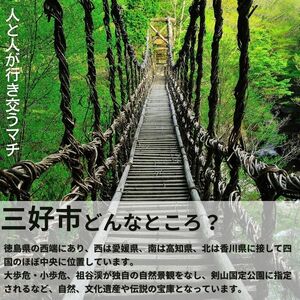 メロン 青肉 タカミ 1玉 期間限定 フルーツ 果物【 メロン 】