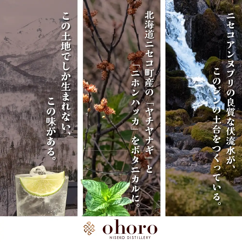 【ふるなびWEEK対象】北海道ニセコ町産　ohoro GIN (スタンダード)【0914305】