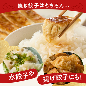 餃子　40個×4袋セット mi0115-0001 