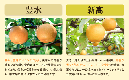 梨 定期便 5kg 計2回 矢畑むらづくり組合《9月中旬-10月中旬頃出荷》栃木県 野木町 お楽しみ フルーツ 食べ比べ 豊水梨 新高梨 栃木産 果物【栃木県共通返礼品　栃木県産】【配送不可地域あり】(離島)