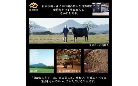 宮崎県西ノ原牧場・なかにし和牛訳あり不揃い切り落とし焼肉 1.5kg（国産 牛肉 肉 宮崎牛 黒毛和牛 お肉 切り落とし なかにし和牛 焼肉 人気 訳あり 不揃い ）
