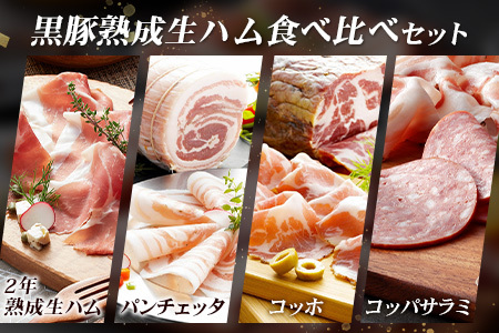 南州農場 黒豚熟成生ハム 4種食べ比べ セット 冷蔵 | 国産 肉 お肉 豚肉 豚 にく ぶた かごしま黒豚 生ハム 最高峰 熟成ハム コッパ パンチェッタ コッホサラミ スパイス サラミ 詰め合わせ 産地直送 ギフト プレゼント 贈り物 鹿児島県 南大隅町　NS-9