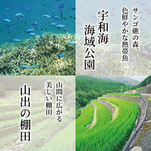 【新米】 令和7年産 コシヒカリ 5kg 新米 愛媛県 愛南町 青果市場
