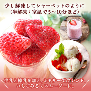 いちご 冷凍いちご フルーツ 果物 いちご【1kg】【訳あり】【冷凍】
