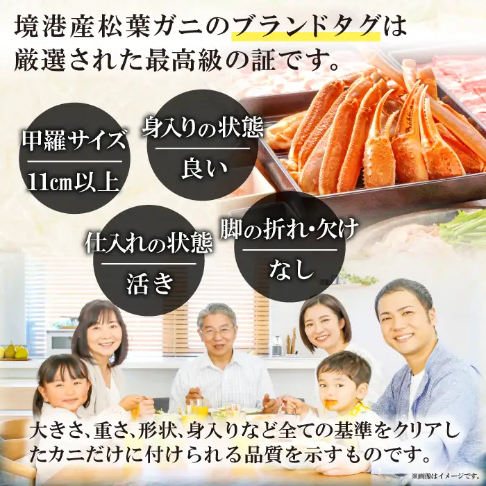 【蒸し】タグ付き松葉ガニ 大 2枚 【松葉ガニ 松葉がに 松葉蟹 まつばがに かに カニ 冷蔵 チルド ブランド ズワイガニ 蒸し ボイル タグ付き 国産 季節限定 お取り寄せ お祝い 鳥取県 日吉津村 日本海】