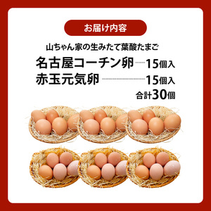 【山ちゃん家の生みたて葉酸たまご】名古屋コーチン卵・赤玉元気卵 食べ比べセット（各15個 合計30個入り） 山ちゃん家 生みたて 葉酸 たまご 名古屋コーチン卵 赤玉元気卵 食べ比べ セット 各 15個 合計 30個 入り 卵 地鶏 朝食 卵焼き 目玉焼き オムライス ゆでたまご 山田養鶏 お取り寄せ 愛知県 小牧市 送料無料 [132Y09]