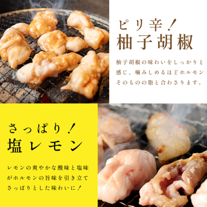 〈スピード出荷〉黒毛和牛ホルモン4種 （韓国風味噌・塩レモン・柚子胡椒・しょうゆ）4種 2kg ホルモン   MSK028