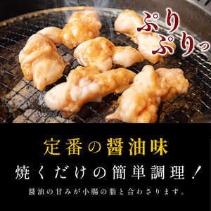 〈スピード出荷〉小腸ホルモン （しょうゆダレ 小分け1kg）ホルモン  MSK030