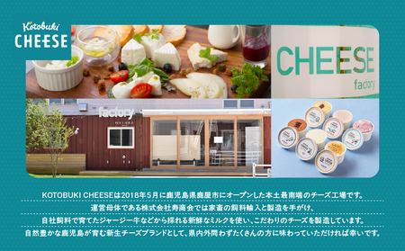 【 全12回定期便 】kotobuki cheese ナチュラルチーズセット KN087-T02 チーズ 乳製品